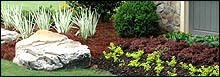 Residential Landscaping Services